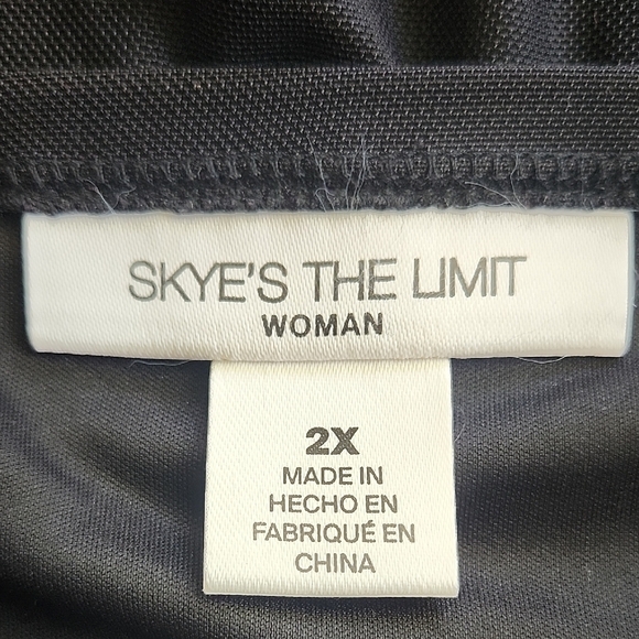 Skye’s The Limit Black Floral Sheer Tunic Dress 2X | Long Sleeve Lined - Picture 8 of 9